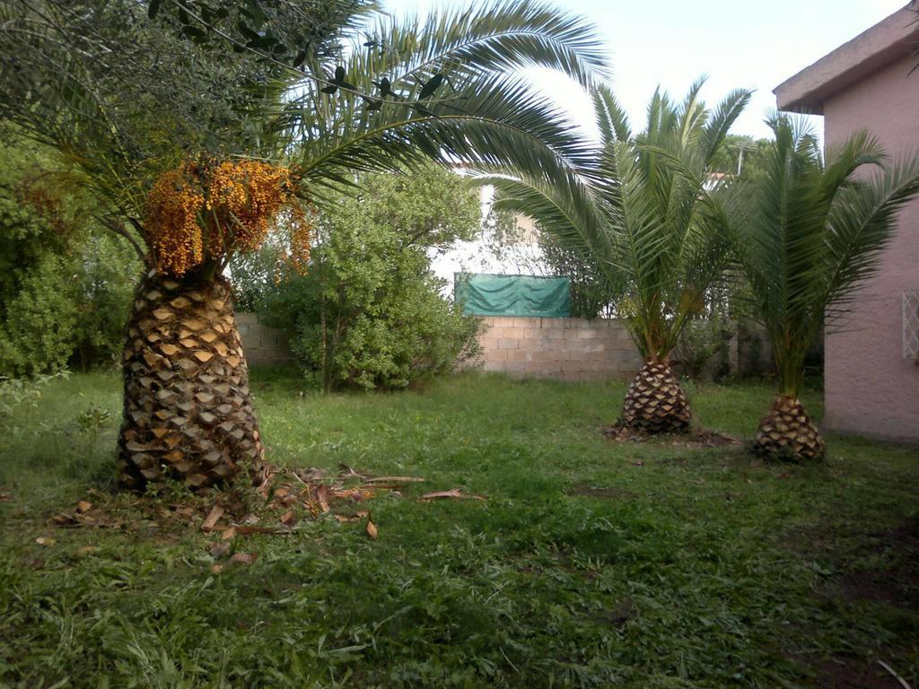 Il Fenicottero Rosa Villa Olbia Luaran gambar