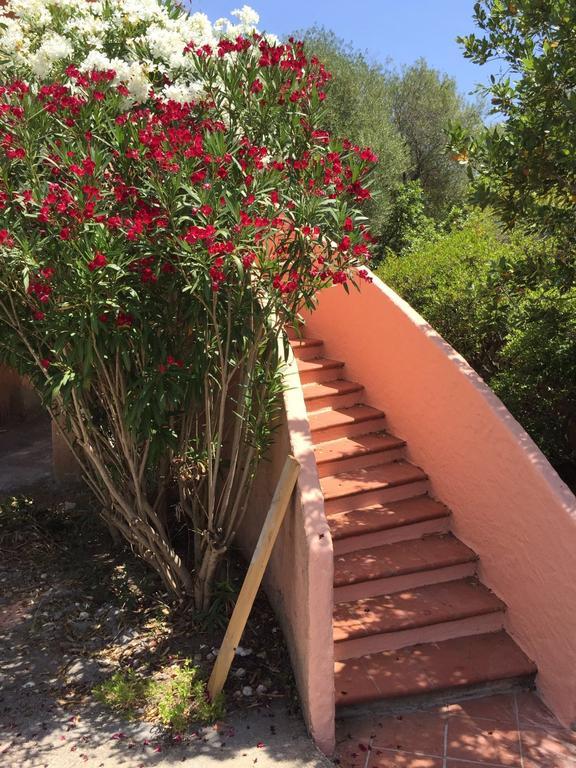 Il Fenicottero Rosa Villa Olbia Luaran gambar